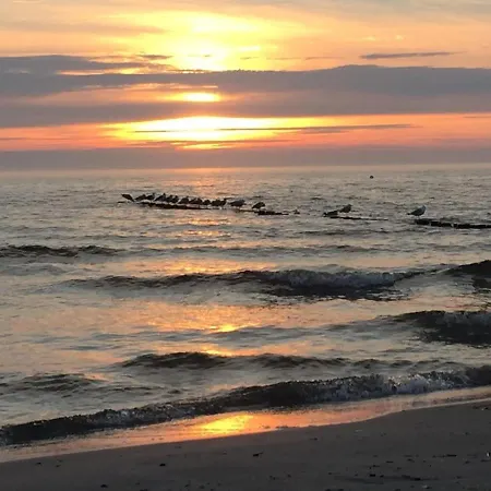 Auf Der Insel Hiddensee *