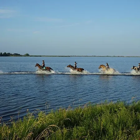 Auf Der Insel Hiddensee كلوستر