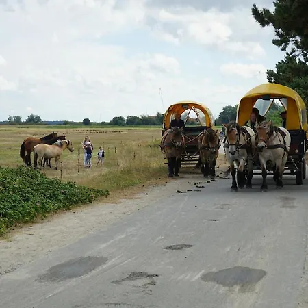 Auf Der Insel Hiddensee بيت للعطل