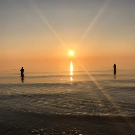 Auf Der Insel Hiddensee *