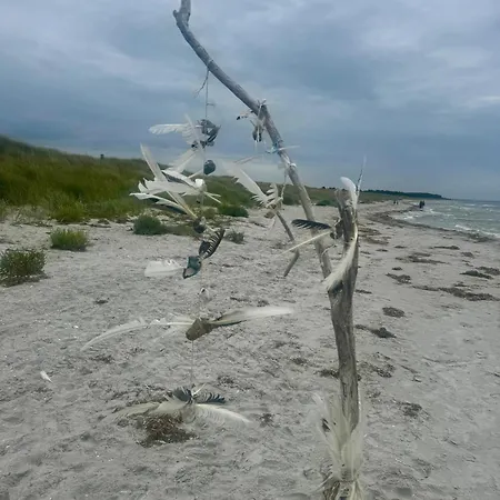 Auf Der Insel Hiddensee Tatil Evi Kloster